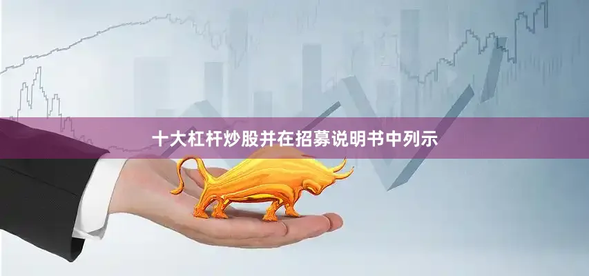 十大杠杆炒股并在招募说明书中列示