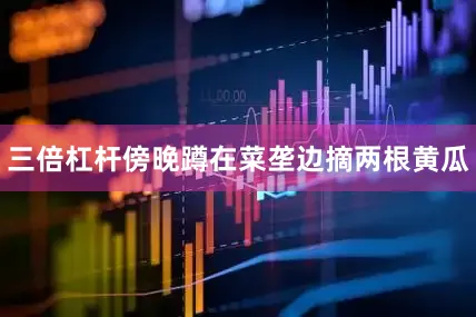 三倍杠杆傍晚蹲在菜垄边摘两根黄瓜