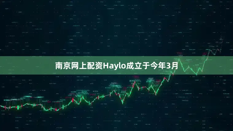 南京网上配资Haylo成立于今年3月