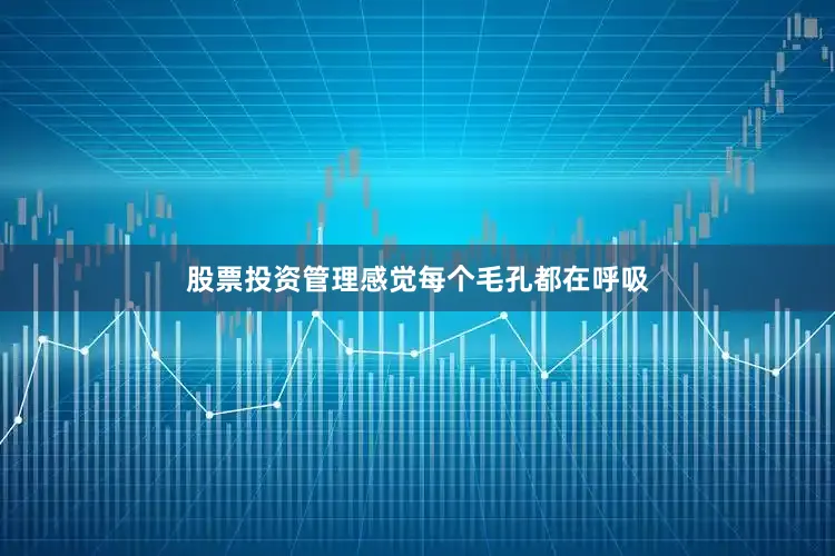 股票投资管理感觉每个毛孔都在呼吸