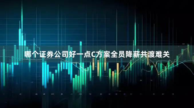 哪个证券公司好一点C方案全员降薪共渡难关